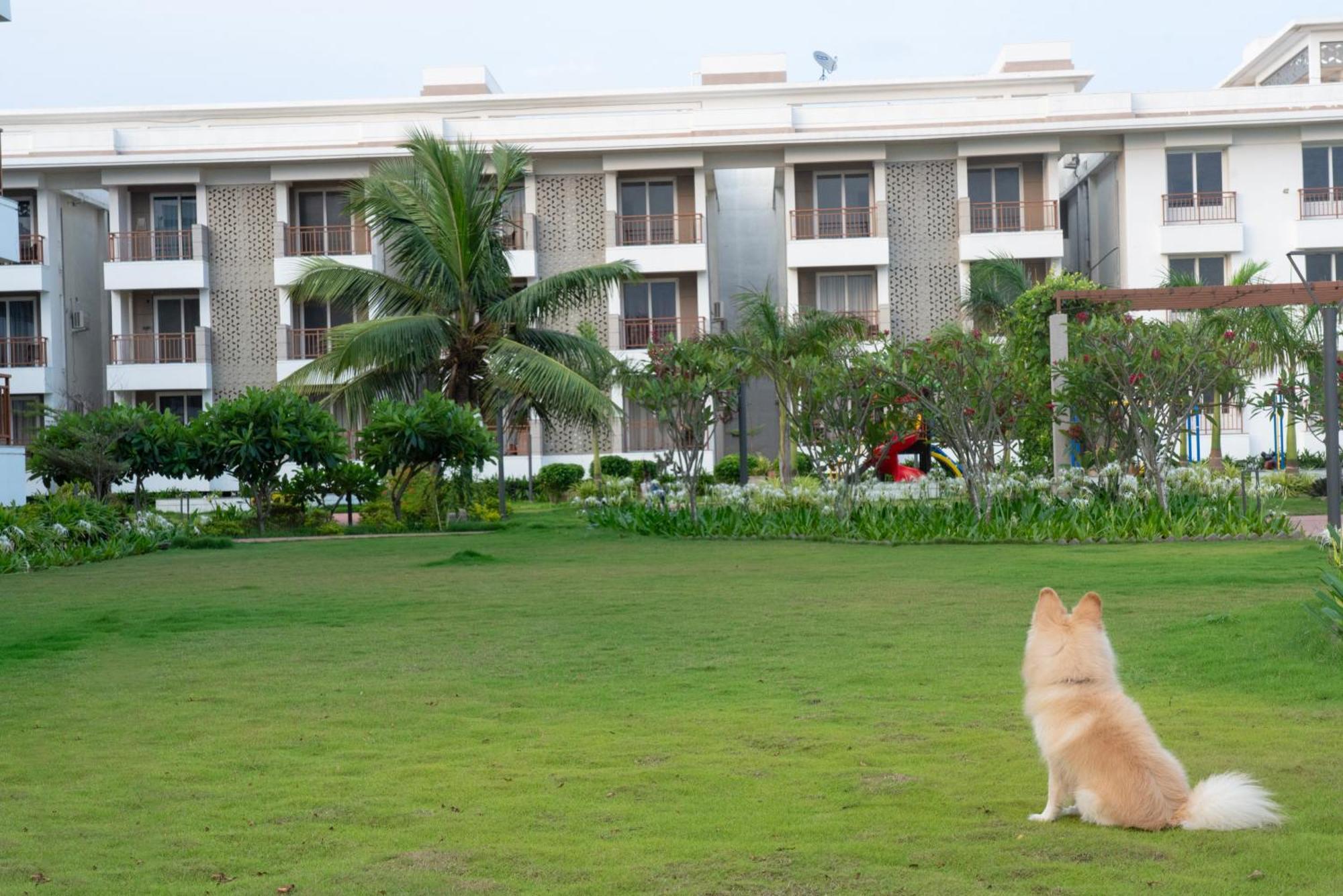 Palm Regal Resort Gopalpur  Ngoại thất bức ảnh